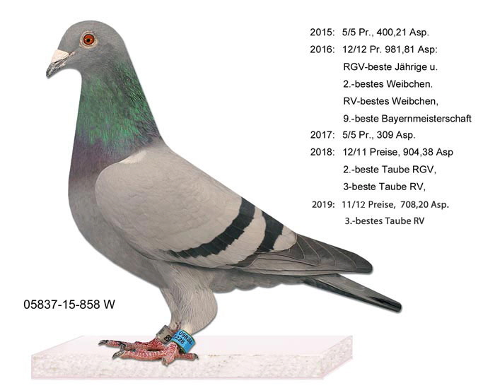 05837-15-858-W
