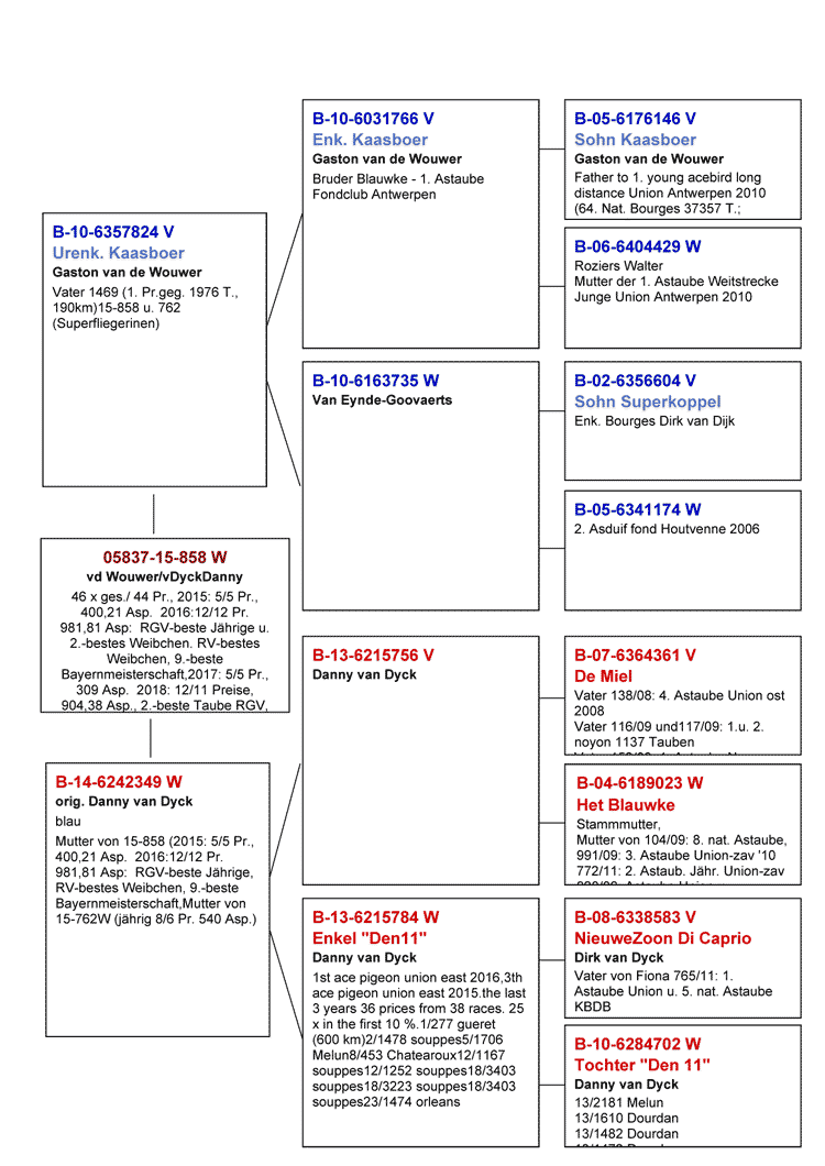 stamm15-858