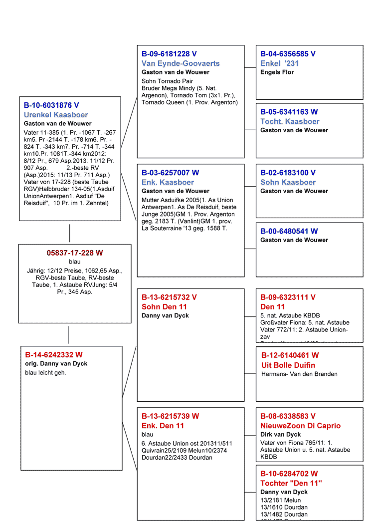 stamm17-228