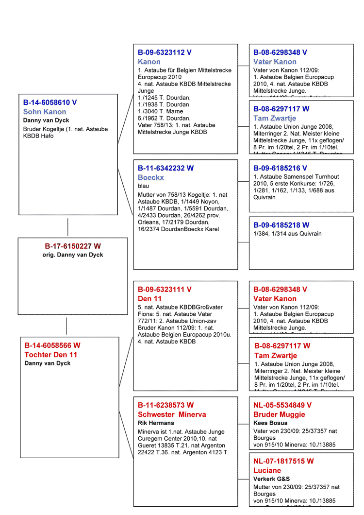 stammB17-227