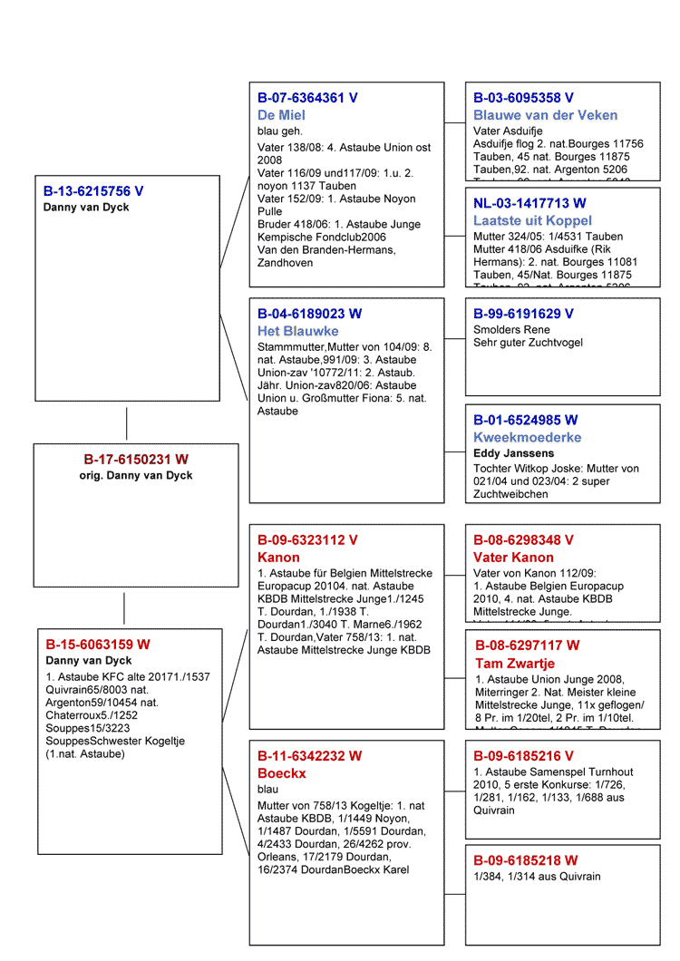 stammB17-231
