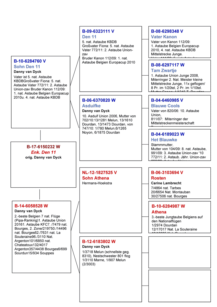 stammB17-232