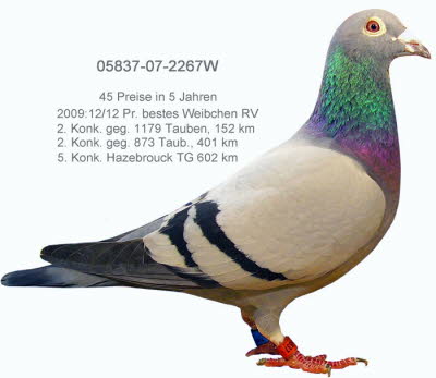 05837-07-2267-W