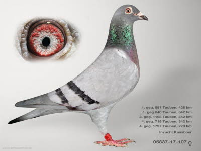 05837-17-107